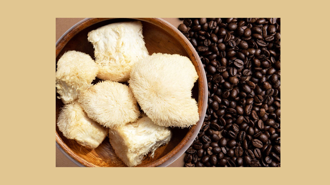 The Surprising Benefits of Lion's Mane Mushroom Extract and Coffee